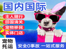 延吉机场快递国际宠物托运 【国